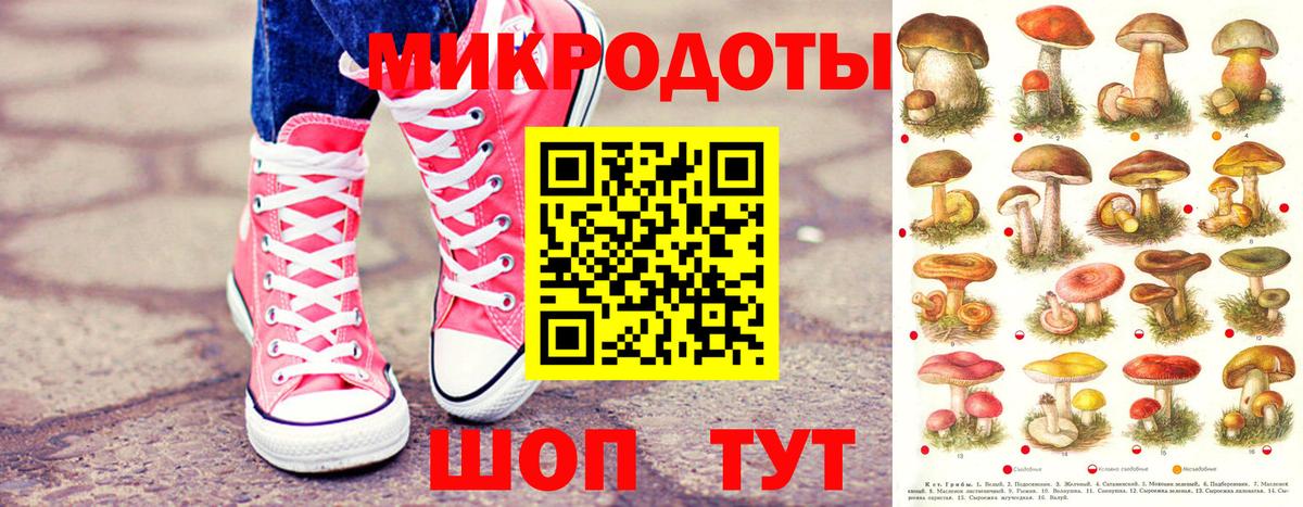 Кореновск  где можно купить наркотик  Вход с VPN  Псилоцибиновые грибы Psilocybe 